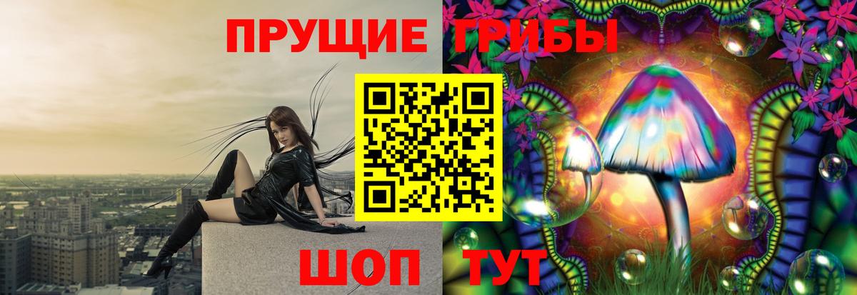 Галлюциногенные грибы Psilocybine cubensis  Вход с VPN  Шарыпово 